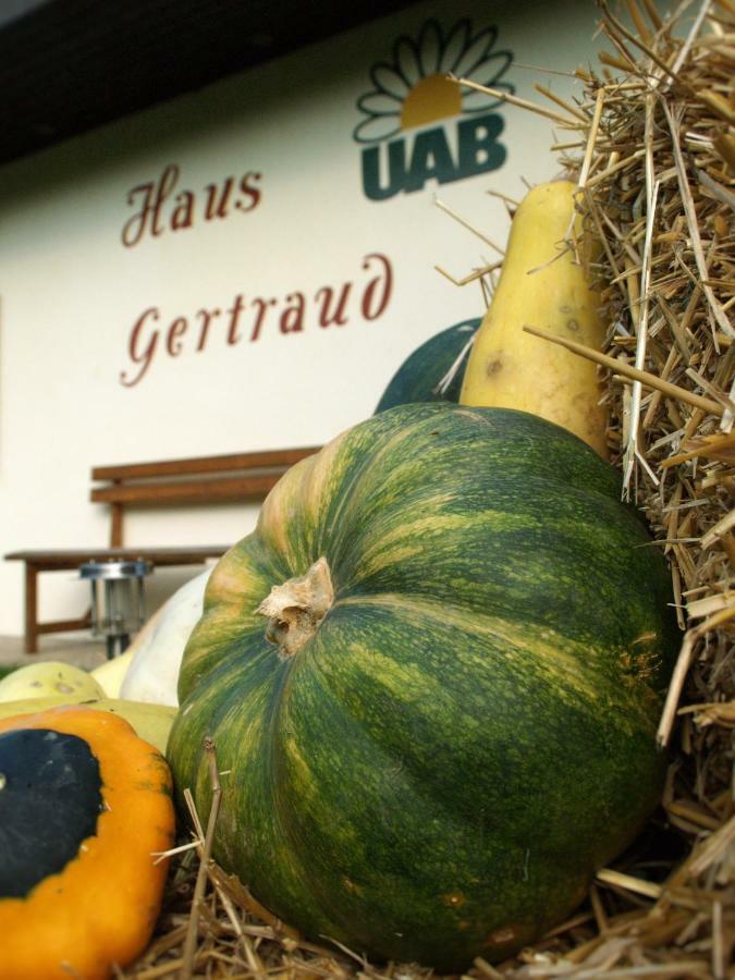 Haus Gertraud Bad Gleichenberg Exterior foto